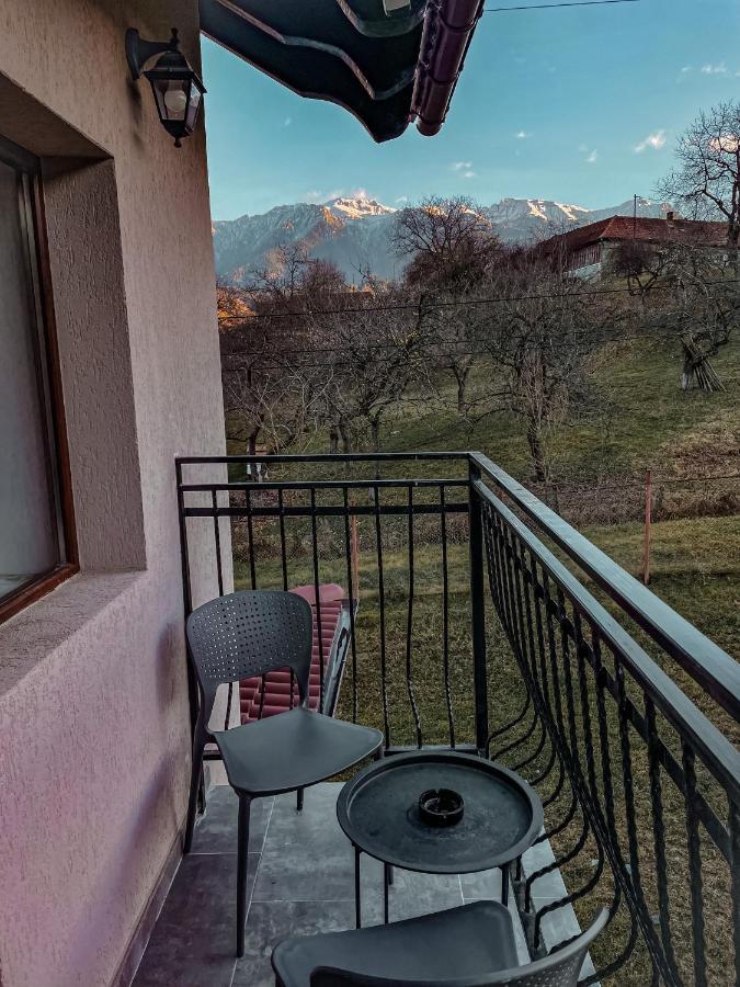 Transylvania Mountain View Cdi Bran  Exteriör bild
