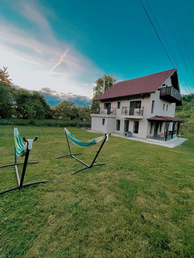 Transylvania Mountain View Cdi Bran  Exteriör bild